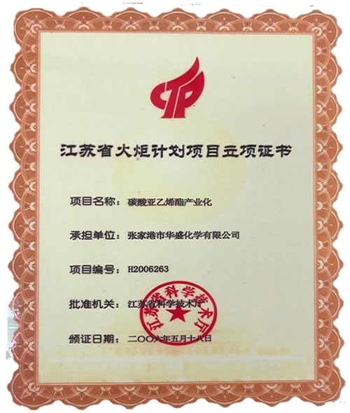 江苏省火炬计划项目立项证书